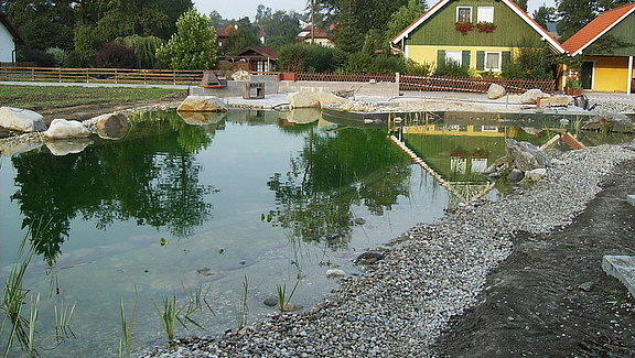 Schwimmteich mit kristallklarem Wasser